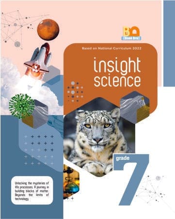 Insight Science 7